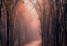 切尔西4-4利物浦，这场进球大战为何能成为经典？