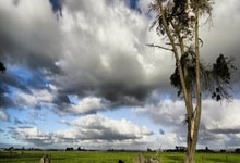 2024欧洲杯小组分组有哪些看点？出线形势又将如何发展？