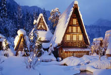 安德鲁·拜纳姆的篮球生涯为何充满争议与遗憾？