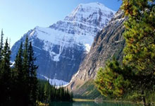 意大利杯亚特兰大对阵卡利亚里，谁更有望晋级下一轮？